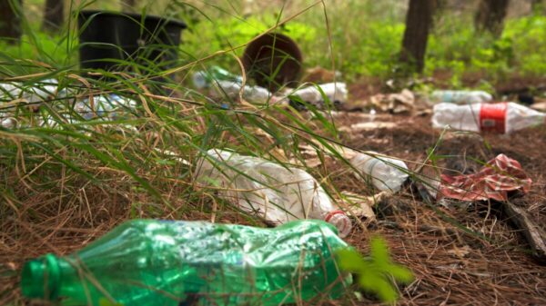 Government to scrap the current £250,000 limit on litter penalties the Environment Agency and Natural England can impose on businesses.