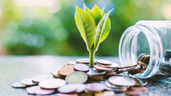 Plant growing from coins outside the glass jar on blurred green natural background for business and financial growth concept FCA greenwashing