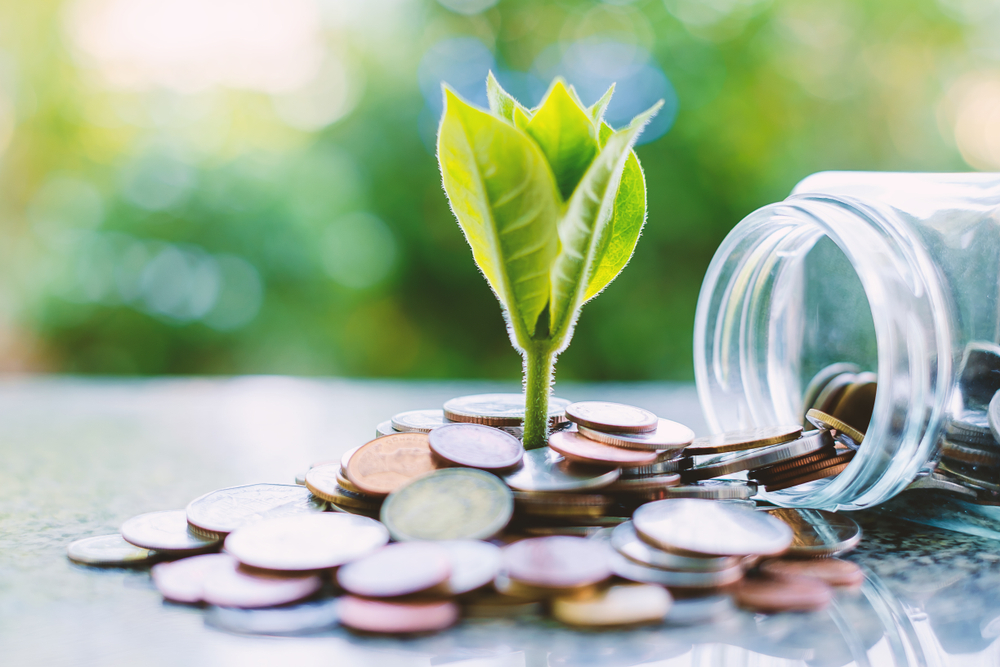 Plant growing from coins outside the glass jar on blurred green natural background for business and financial growth concept FCA greenwashing