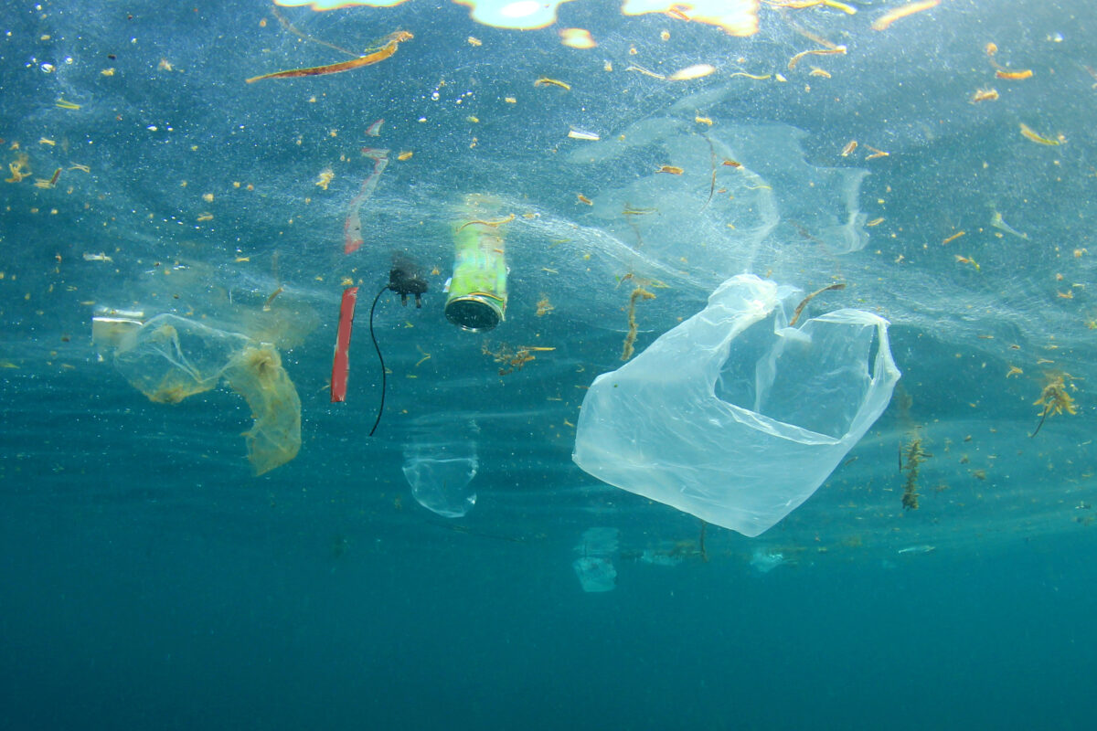 Global signatories of a UN commitment to reduce plastic have outperformed their peers, according to the Ellen MacArthur Foundation's latest update.