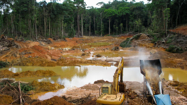 Rainforest destruction. Gold mining place in Guyana, South America. Amazon and Essequibo basin deforestation.