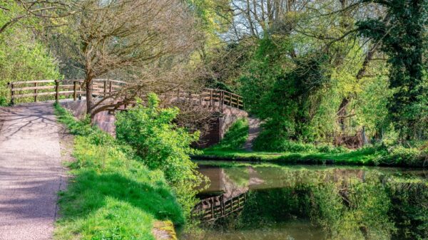 Rivers in the Anglian and Thames regions were found to be in the worst state, with 89% of rivers failing to meet tests for good ecological health.