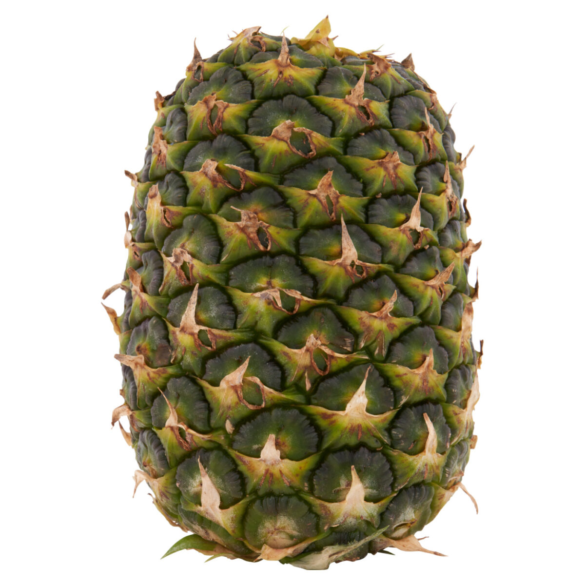 Aldi pineapple: The UK’s fourth largest supermarket will be removing the green leaves from its pineapples during the production process for recycling.